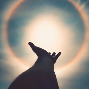 Accompagnement en sophrologie et Méthode Clé à Laval : tendre la main vers plus de lumière, d’équilibre et de sérénité intérieure.